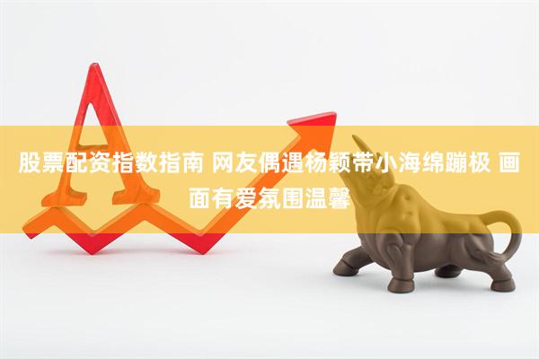 股票配资指数指南 网友偶遇杨颖带小海绵蹦极 画面有爱氛围温馨